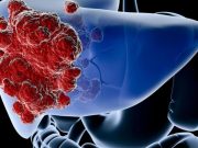 Karaciğer Sağlığınızı Koruyun Karaciğer Sağlığınızı Koruyun