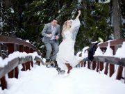 Kış Düğünleri Kış Düğünleri
