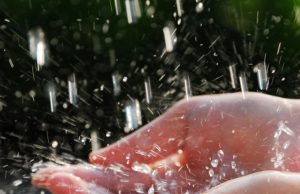 Evde Su Tasarrufu İçin Temel Tedbirler Evde Su Tasarrufu İçin Temel Tedbirler