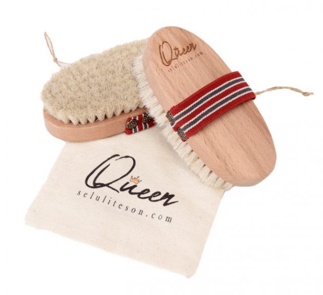 at kılı fırçası