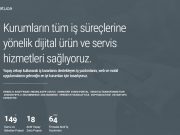 Api Yönetimi ve Proje Takip Programı