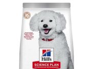 Köpek Maması Seçerken Nelere Dikkat Edilmeli?