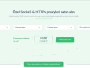 Proxy Kullanarak Çevrimiçi Güvenliğinizi Artırın proxy-seller.com